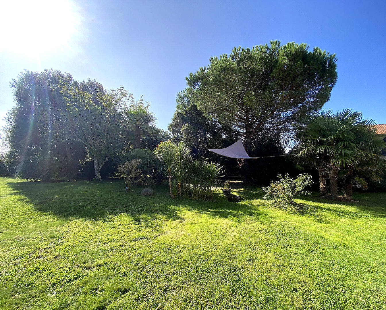 Maison Saint Jean De Boiseau 8 pice(s) 10/10
